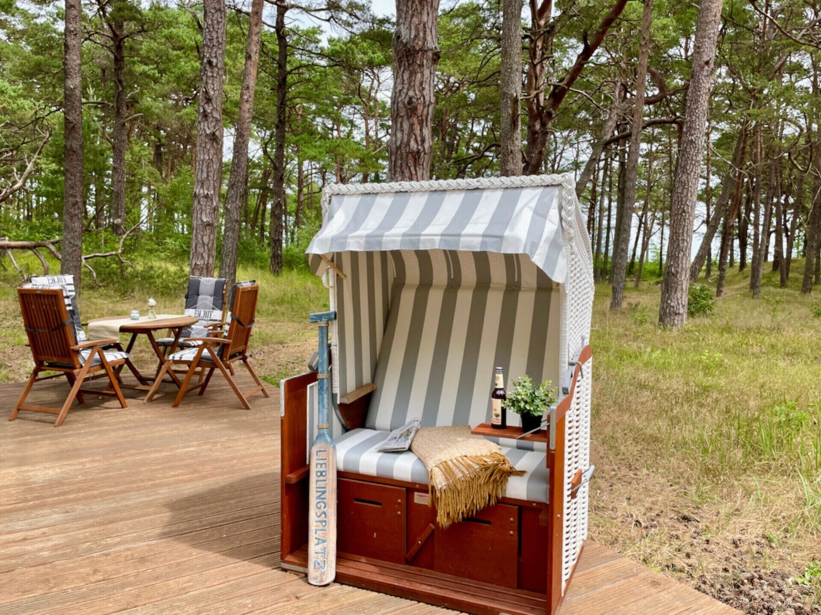 Strandkorb der Sandrose